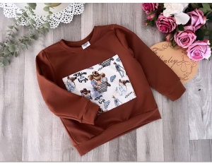 Bluza brąz z MINI BOY MOTHER