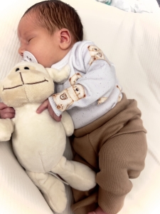 Body / bluzka  prążek TEDDY 